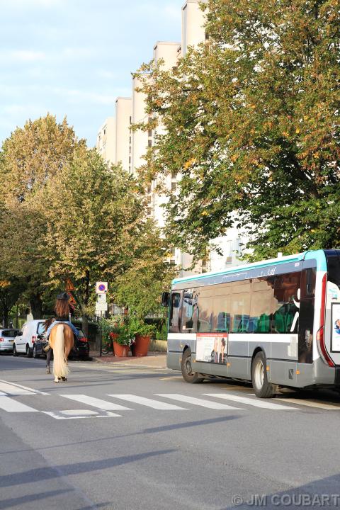 Vous avez atteint la dernière diapositive